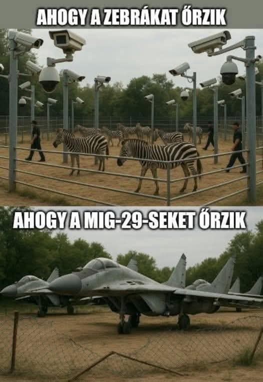 🤣