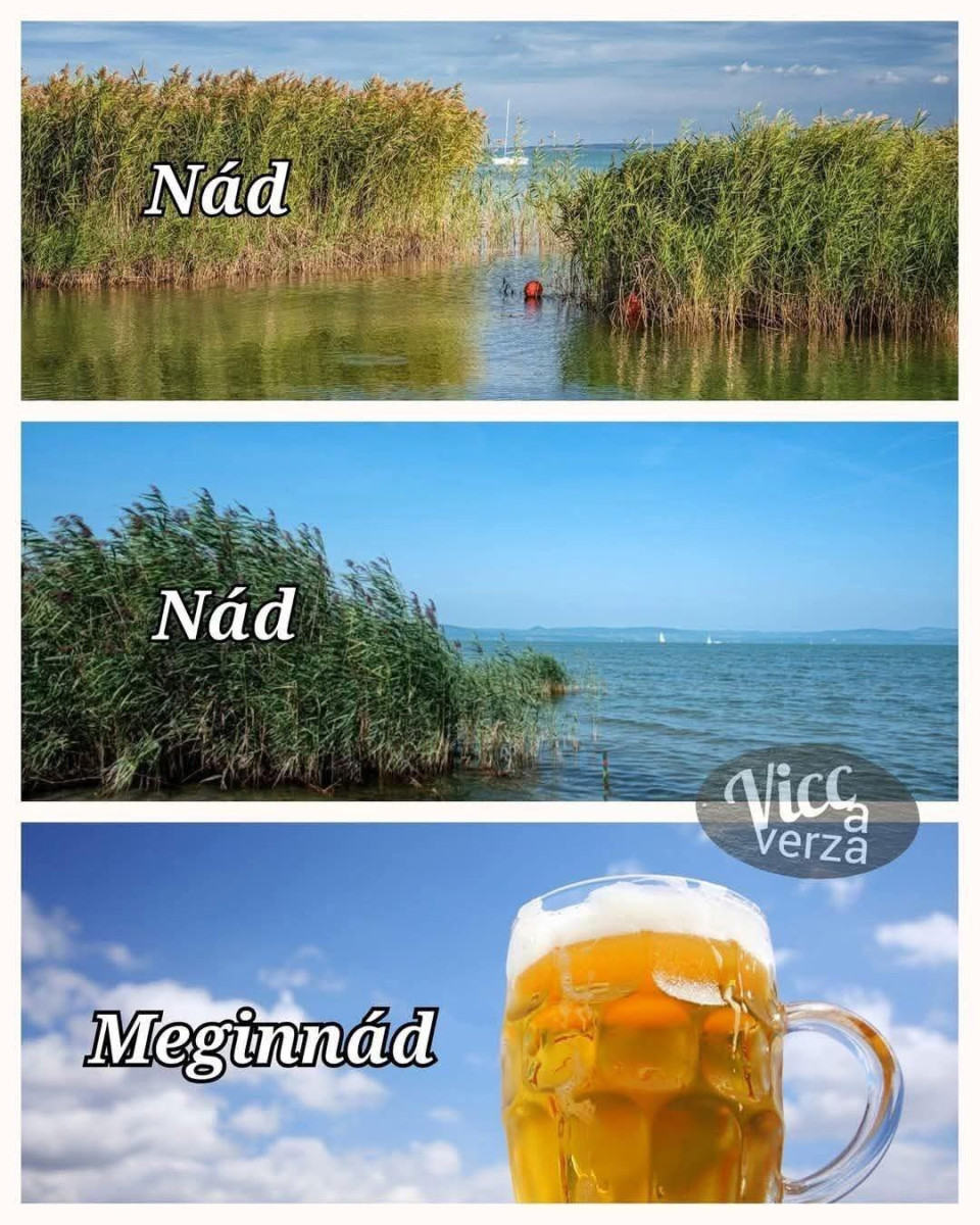 🍻