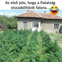 CSOK 2025 😂