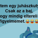 Túl jól végzi a dolgát 😂