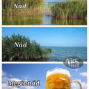 🍻