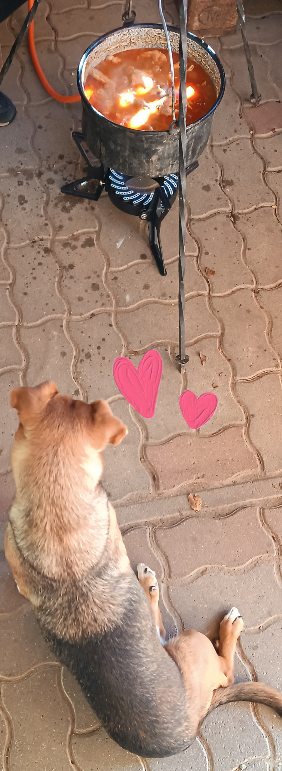 Kis 