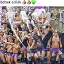 Hírfolyam Képek