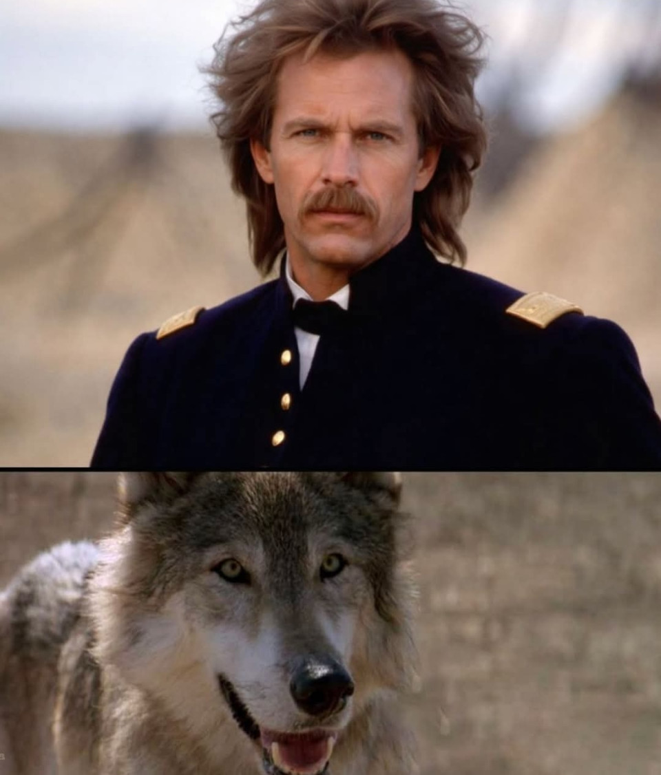 Amikor az író Michael Blake elküldte a kéziratát barátjának, **Kevin Costner**nek, az majdnem ki sem nyitotta.Blake évek óta dolgozott egy történeten, amely a régi Vadnyugaton játszódott. Egy uniós hadsereghez tartozó hadnagyról szólt, akit egy távoli határvidéki erődbe vezényelnek. Ott találkozik a lakota néppel – és lassan minden megváltozik benne, amit addig a világról hitt.A történet eredetileg forgatókönyvként született.De Hollywoodban senki sem akarta leforgatni.A stúdiók szerint túl hosszú volt.Túl szokatlan.Túl kockázatos.Ekkor adott Costner egy tanácsot a barátjának:„Írd meg regényként. Néha könnyebb eladni egy könyvet, mint egy forgatókönyvet.”Blake megfogadta.Nappal egy kínai étteremben mosogatott Arizonában.Éjszaka írt.A kéziratot majdnem harminc kiadó utasította vissza, mire végül egy kis kiadó vállalta a megjelentetését 1988-ban.A könyv címe ez volt:Dances with Wolves.Amikor Costner elolvasta, azonnal tudta:ebből filmnek kell készülnie.Megvette a jogokat.Nemcsak azért, hogy ő játssza a főszerepet.Ő maga akarta rendezni is – annak ellenére, hogy addig soha életében nem rendezett filmet.Hollywood szerint ez őrültség volt.A terv ugyanis a következőket tartalmazta:egy háromórás westernlakota nyelvű párbeszédek felirattalforgatás az amerikai Nagy-síkságokontöbb száz lótöbb ezer bölényhónapokig tartó kültéri forgatásA stúdiók tele voltak kételyekkel.Az egyik azt kérte, vágják ki a polgárháborús nyitójelenetet.A másik szerint túl hosszú a film.Egy harmadik a szereplőgárdát kritizálta.Costner több híres rendezővel is beszélt.Mind ugyanazt mondta:„Ezt a filmet így nem lehet megcsinálni.”Costner végül egyszerű döntést hozott.Ha mindenki szerint lehetetlen…akkor ő maga fogja megcsinálni.A projekt végül az **Orion Pictures**hez került, de a pénz továbbra is gondot jelentett.A finanszírozáshoz a producerek országonként adták el a nemzetközi forgalmazási jogokat.A költségvetést 15 millió dollárban határozták meg.Egy ekkora produkcióhoz ez nagyon kevés volt.A forgatás 1989 nyarán kezdődött South Dakota államban.A forgatás méretei elképesztőek voltak:3500 bölény300 ló2 farkas42 szekér36 tipítöbb mint 500 statiszta130 fős stábCostner naponta akár 16 órát dolgozott.Este pedig a következő nap forgatási tervét készítette el.Még azt is megtanulta, hogyan kell nyereg nélkül lovagolni.A híres bölényvadász-jelenet forgatásán – amely három hétig tartott és hét kamerával vették fel – Costner leesett a lóról, és majdnem súlyosan megsérült a háta.De a forgatás folytatódott.Közben a költségvetés egyre nőtt.Amikor már nem volt honnan pénzt szerezni, Costner kockázatos döntést hozott:hárommillió dollárt tett bele a saját pénzéből.Hollywoodban sokan kinevették.A film gúnynevet kapott:„Kevin’s Gate”Utaltak vele a hírhedt westernre, Heaven's Gate, amely évekkel korábban majdnem tönkretette a műfajt.Sokan azt gondolták, hogy Costner karrierje itt véget ér.Az eredeti terv 60 forgatási nap volt.Végül 108 napig tartott.Costner nem volt hajlandó elsietni a jeleneteket.Megvárta a megfelelő fényt.Megvárta a tökéletes pillanatot az állatokkal.Megvárta, amíg a jelenet igazinak érződik.A vágás során személyesen ellenőrizte a film minden változatát.A végleges film három órás lett.Létezett egy majdnem négyórás rendezői változat is.A film, Dances with Wolves, 1990. október 19-én mutatkozott be Washington, D.C.-ben.Először jöttek a lelkes kritikák.Aztán jött a közönség.Végül pedig jöttek a számok.A film 424 millió dollárt hozott világszerte, és az Orion Pictures történetének legnagyobb sikere lett.Az 63rd Academy Awards díjátadón 12 jelölést kapott.Ebből 7 Oscar-díjat nyert, köztük:Legjobb filmLegjobb rendezőCostner, aki saját pénzét is kockára tette, körülbelül 40 millió dollárt keresett a filmen.A lakota nemzet még tiszteletbeli tagjává is fogadta.Ami egykor egy történet volt, amit senki sem akart,az a modern western egyik legfontosabb filmjévé vált.Egy háromórás film.Lakota nyelven.Egy olyan ember rendezésében, aki addig még soha nem rendezett.Az a film, amelynek tönkre kellett volna tennie a karrierjét.Néha, amikor valaki azt mondja:„Ez lehetetlen.”Nem a valóságot írja le.Csak a saját határait. 🎬✨