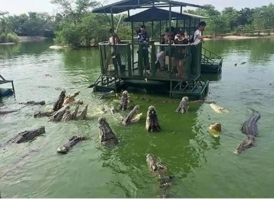 Egy turistacsoport ellátogatott egy krokodilfarmra. A vízben hemzsegtek a krokodilok, a farm tulajdonosa egyszer csak így szólt: "Aki a vízbe ugrik és kiúszik a partra anélkül, hogy megsérülne, kap egymillió dollárt." Nagy csend volt, majd egyszer egy férfi a vízbe ugrott. A krokodilok ott úsztak mögötte, de szerencsére nem sérült meg, kiúszott a partra. A farm tulajdonosa vidáman felkiált: "Megvan a győztesünk, és átadta a nyereményt." Miután átvették a jutalmukat, a pár visszatért a szállodába ünnepelni.Érkezéskor az igazgató gratulálni akart, hogy a veszéllyel dacolva a szörnyű, éhes krokodilok közé merült, és megkérdezte tőle: „Honnan vette a bátorságot?”Ekkor a férfi így válaszolt:„Nem magamtól ugrottam, valaki hátulról meglökött!”Csak ekkor mosolyodott el a felesége, aki addig a pillanatig megvonta a vállát, ès közömbösen viselkedett...Tanulság:„Minden sikeres férfi mögött mindig áll egy nő, aki ösztönzi őt!"😊