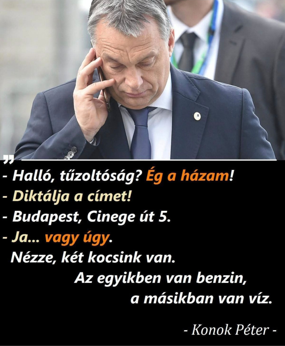 2022-ből:Nincs mese, imádták a palit. Azóta pláne. Kiharcolta.