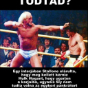Hírfolyam Képek