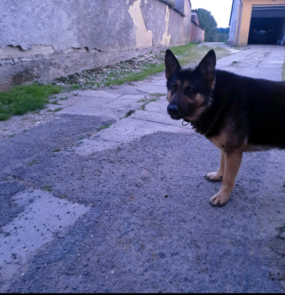 Ákoska