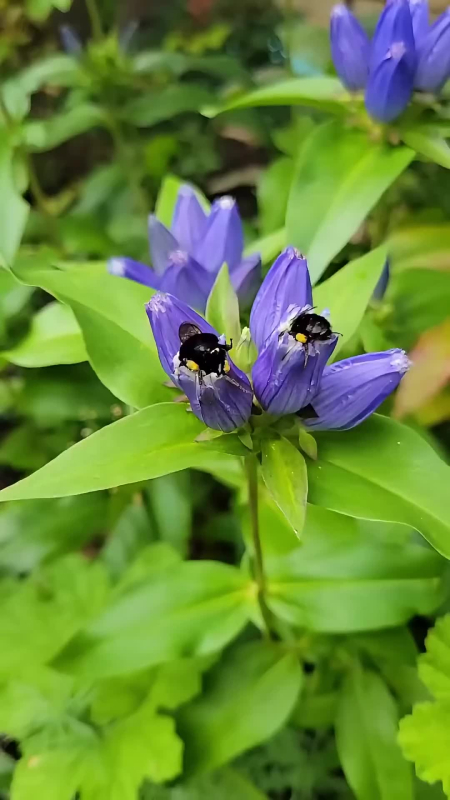 Munkában 🐝