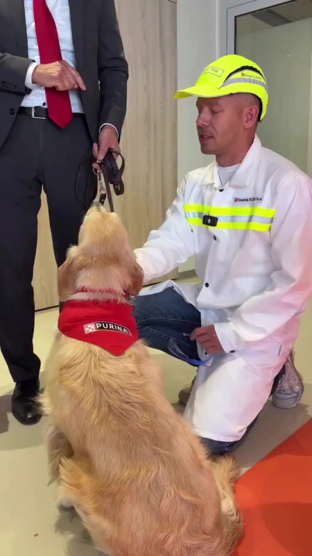 🐶