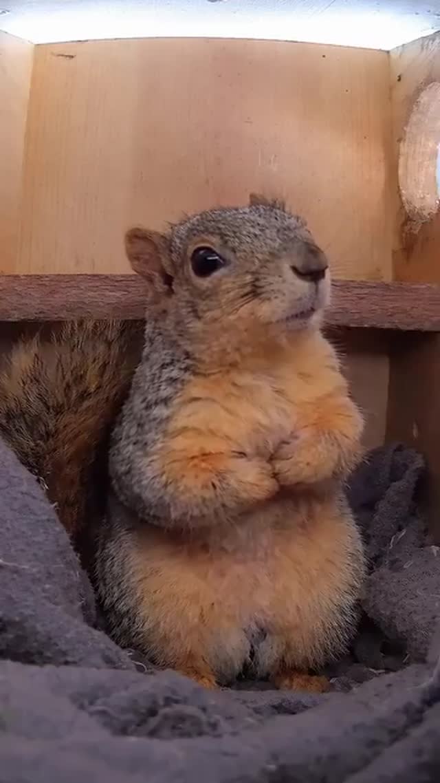 Ébresztő! 😍