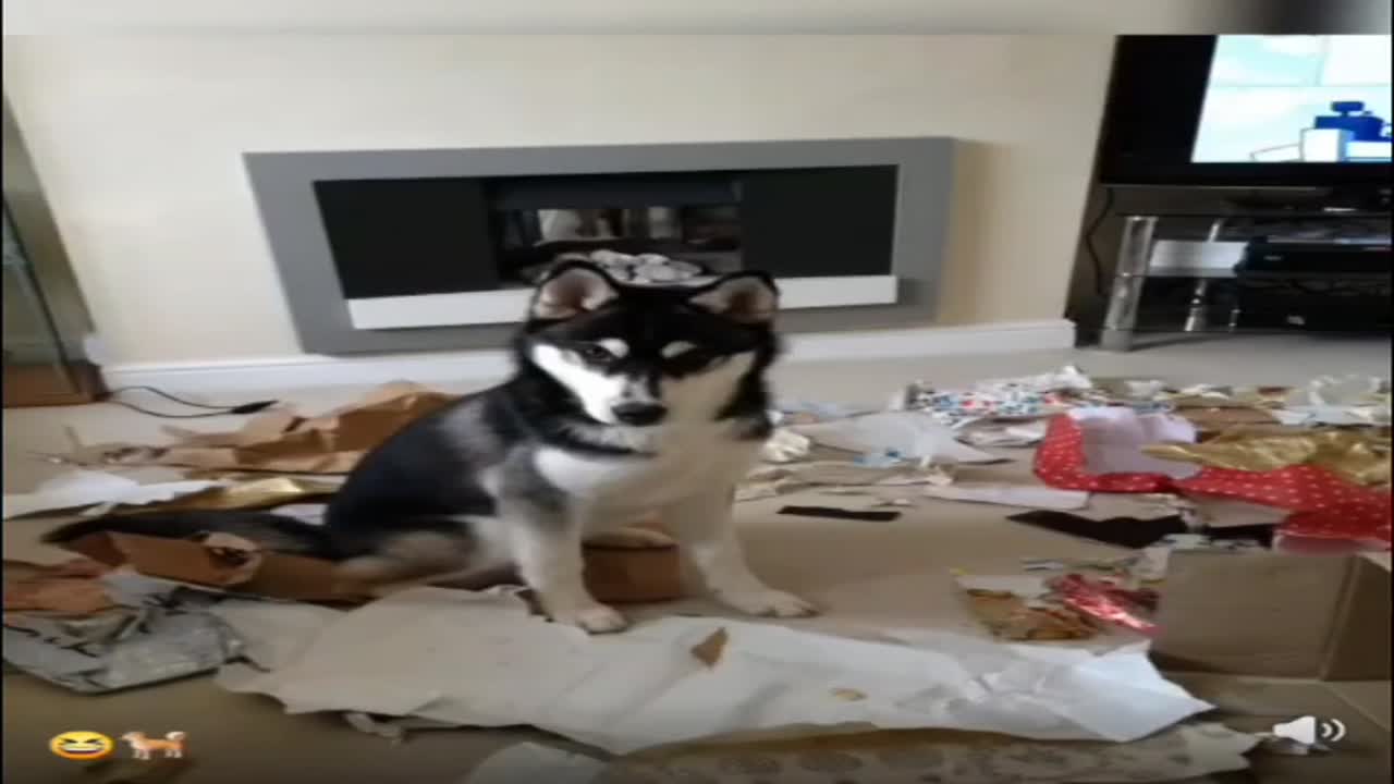 Unatkozok😂