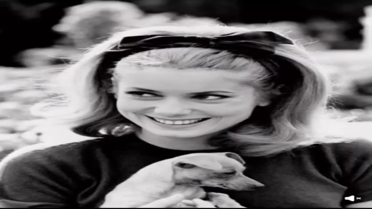 Kutyák és sztárok🐕‍🦺👍