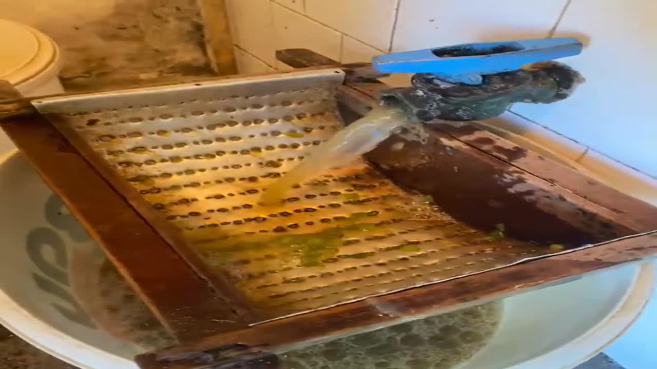 Ketteskéék szüretelnek 🍇