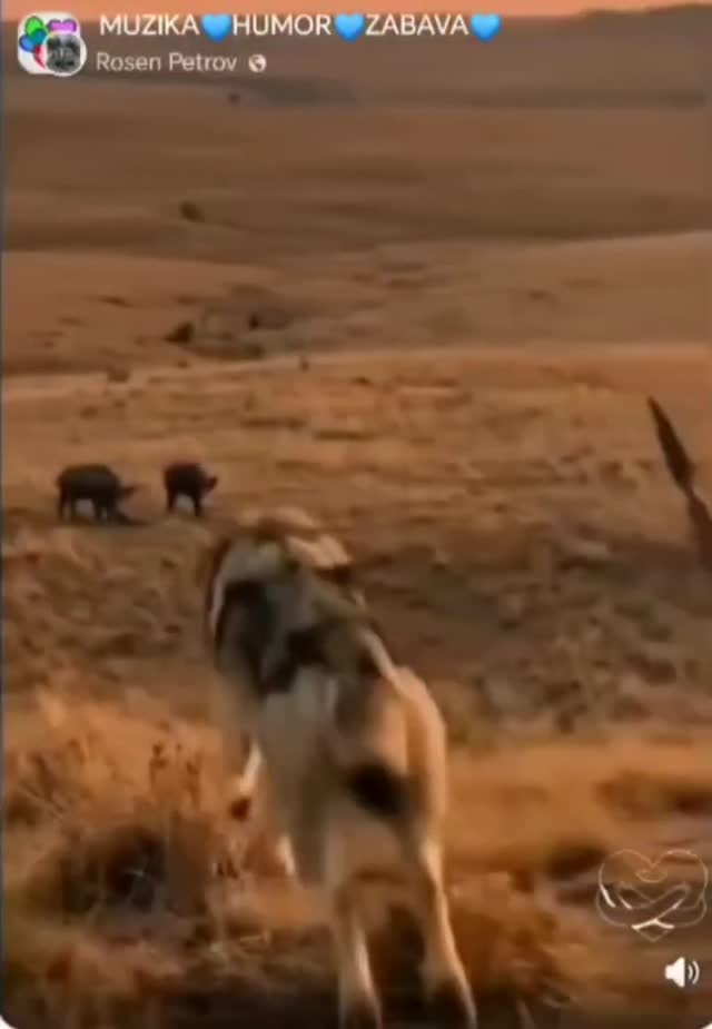 Barátság