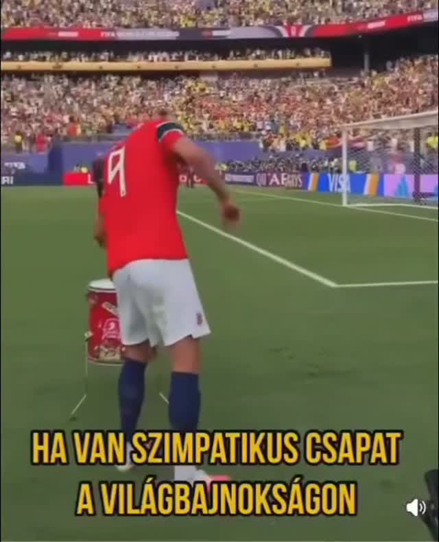 🇳🇴 