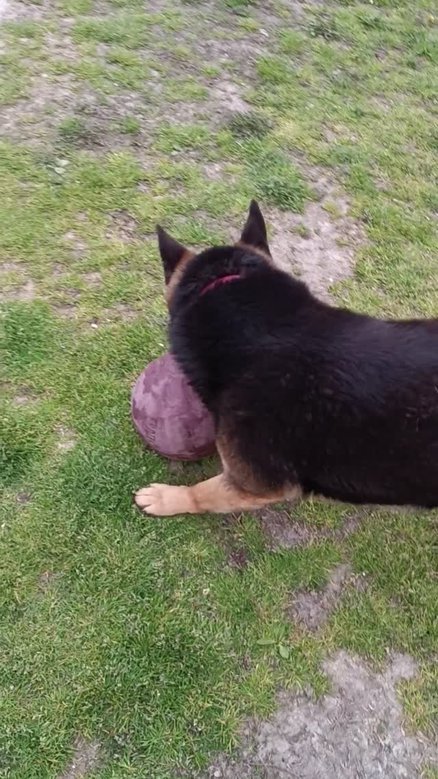 Áki 😎