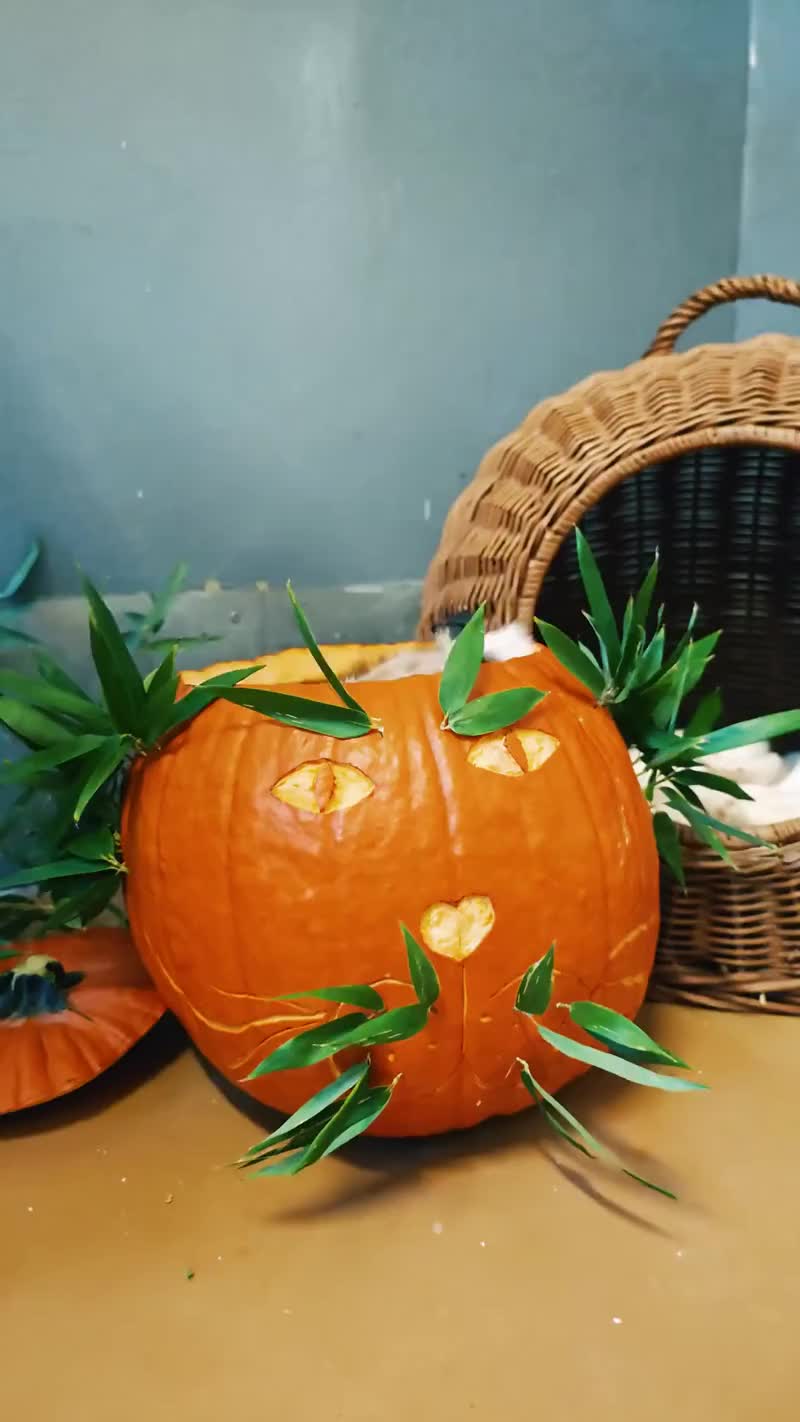 🧡