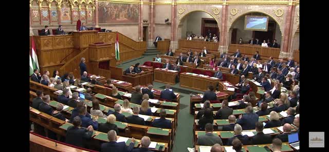 Az intelligencia és a humor, ha együtt járnak 🫶