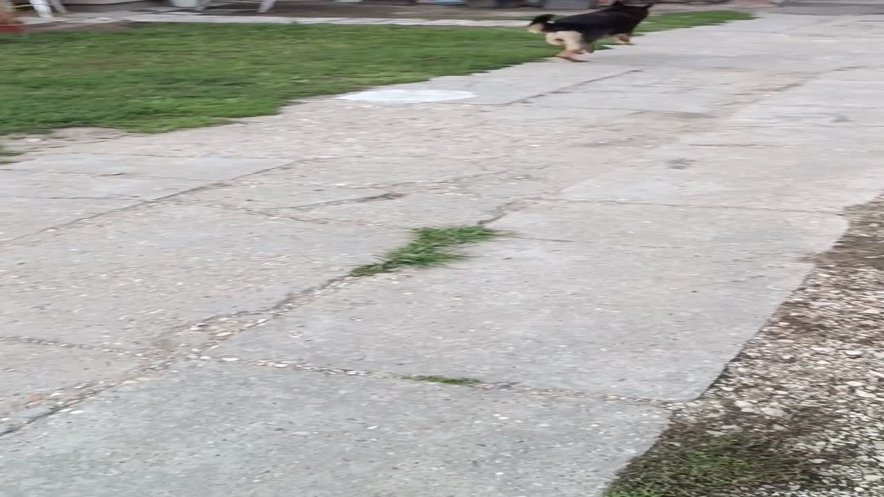 Áki felügyelő munkában