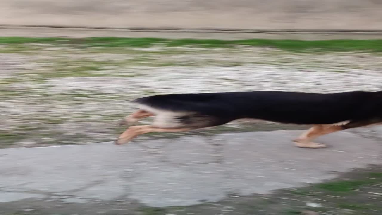 A vágány mellett kérjük, hogy vigyázzanak! 😂