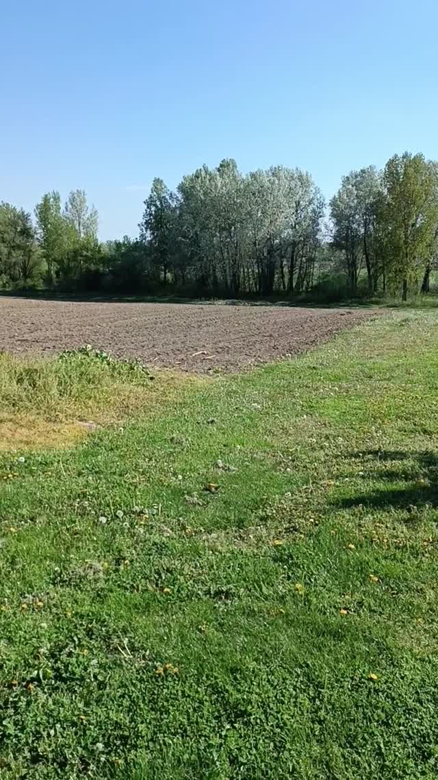💚