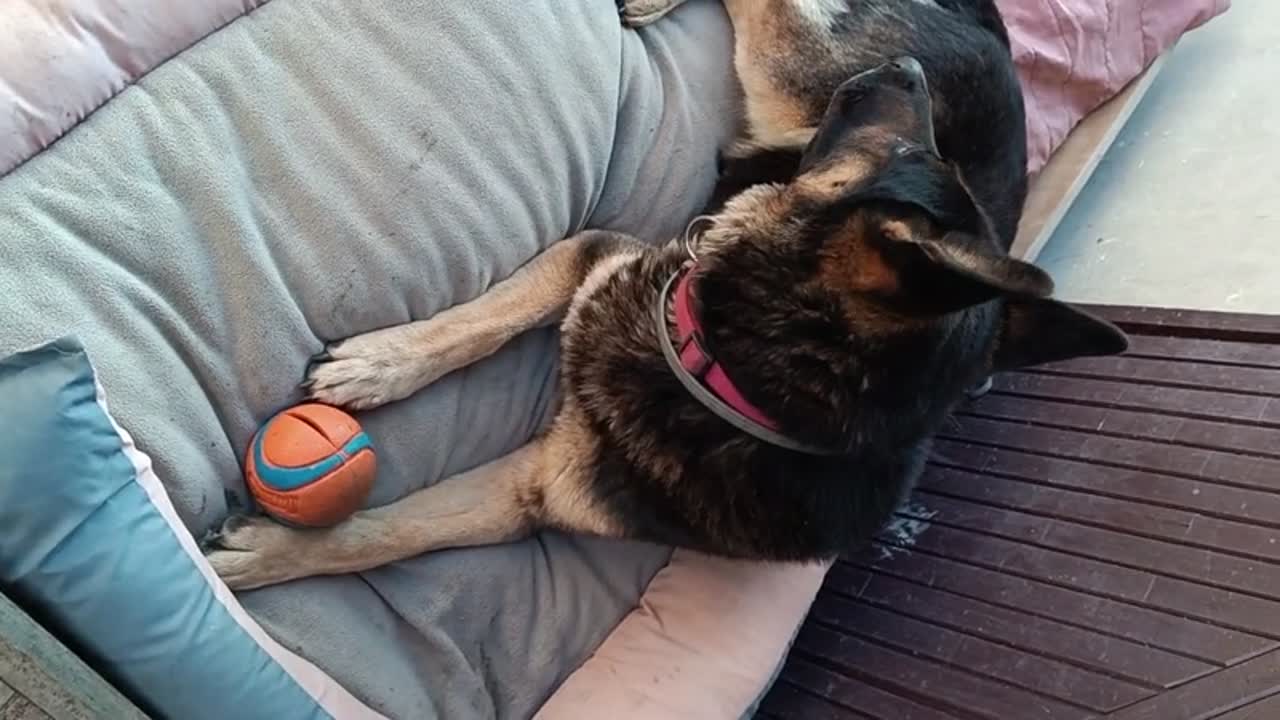 Áki szükség esetén természetesen azonnal intézkedik, addig is szemmel láthatóan nem lazít, figyelem a kulcs.